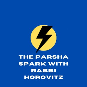 The Parsha Spark with Rav Shea Horovitz