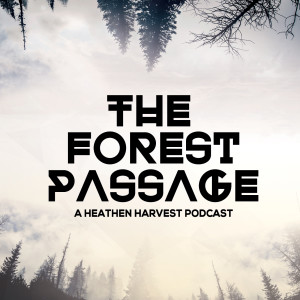 The Forest Passage