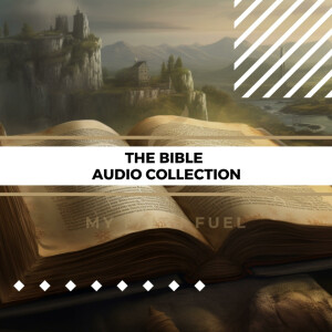 Full Audio Bible: Clear & Engaging Recordings of the Holy Scriptures