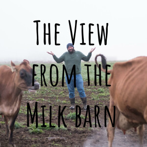 The View from the Milk barn