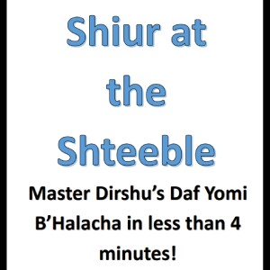 Shiur at the Shteeble