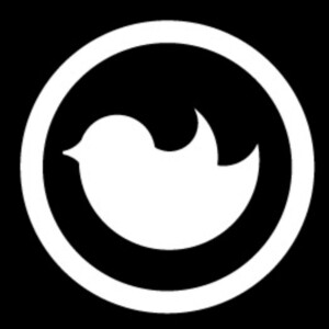 User Podcast Logo