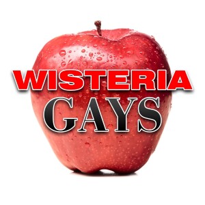 User Podcast Logo