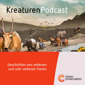 User Podcast Logo