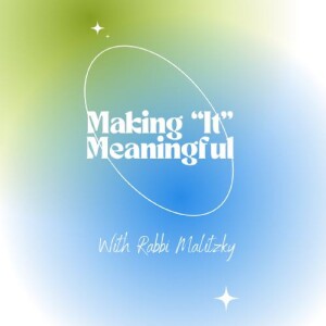 Making "It" Meaningful with Rabbi Malitzky