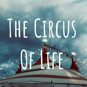 The Circus Of Life