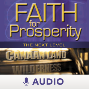Faith For Prosperity: The Next Level (Audio)