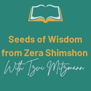 Daily Zest of Zera Shimshon