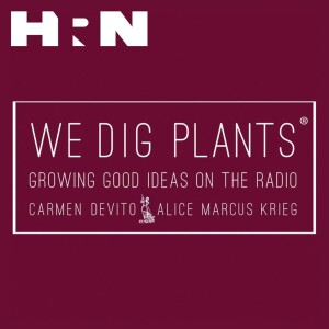 We Dig Plants