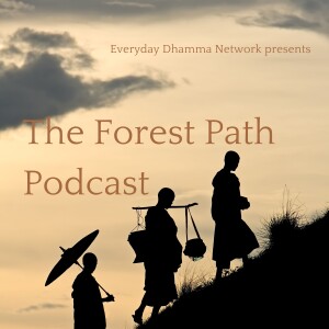 The Forest Path Podcast