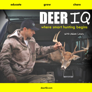 Deer IQ