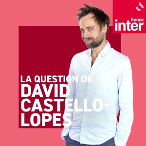 La question de David Castello-Lopes