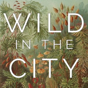 Wild in the City