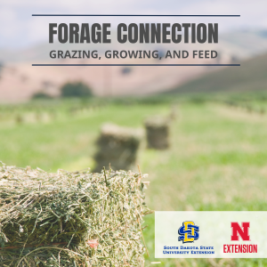 Forage Connection: Grazing, Growing, and Feed