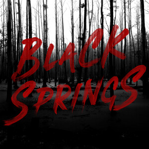 Black Springs