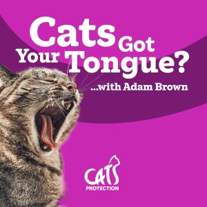 Cats Got Your Tongue?