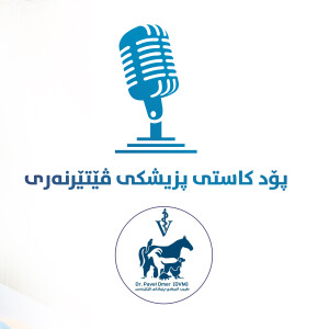 User Podcast Logo