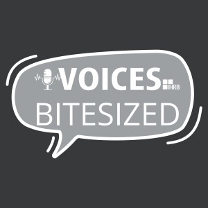 User Podcast Logo