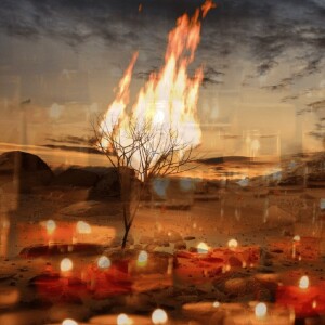 INSPIRATIONAL SPIRITUAL TIDBITS  BY RABBI YAAKOV SINGER