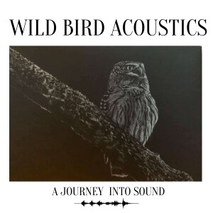 Wild Bird Acoustics