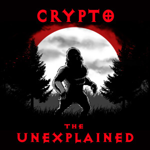 User Podcast Logo