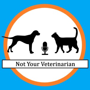 User Podcast Logo