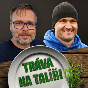 User Podcast Logo