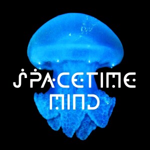 Space Time Mind