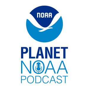 User Podcast Logo