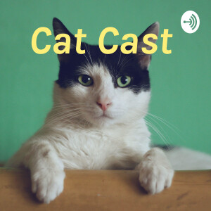 User Podcast Logo