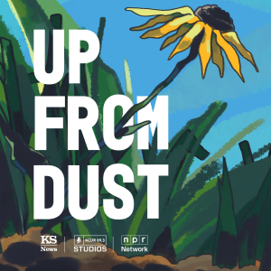 User Podcast Logo