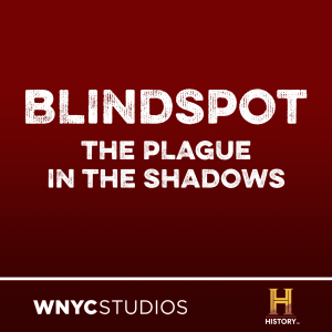 Blindspot Podcast