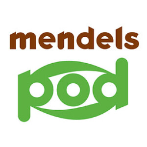 User Podcast Logo