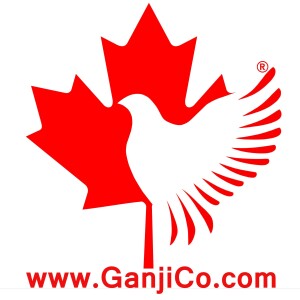 User Podcast Logo