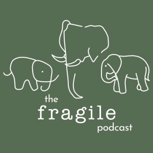 The Fragile Podcast