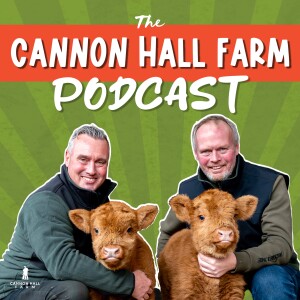 User Podcast Logo