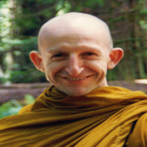 Ajahn Amaro's most recent Dharma talks (Dharma Seed)