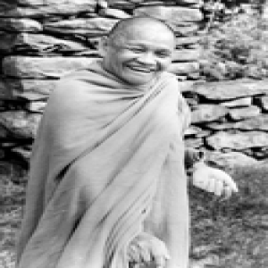 Ajahn Chah's most recent Dharma talks (Dharma Seed)