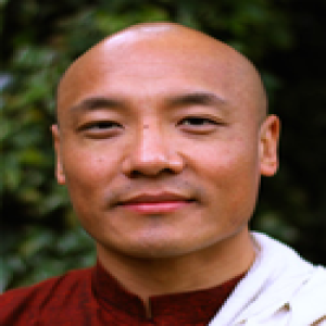 Anam Thubten's entire set of Dharma talks (Dharma Seed)