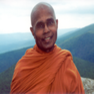 Bhante Henepola Gunaratana's most recent Dharma talks (Dharma Seed)