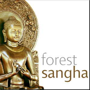 Forest Sangha Dhamma Talks