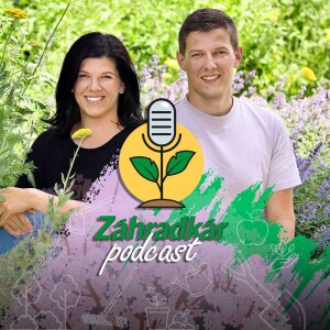 User Podcast Logo