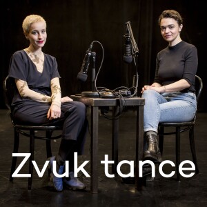 User Podcast Logo