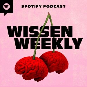 User Podcast Logo