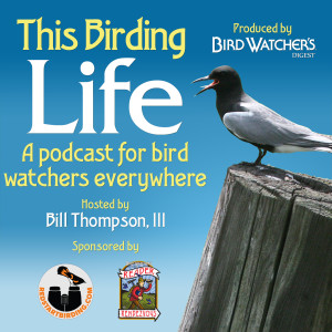 This Birding Life (Enhanced)