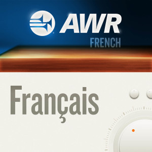 AWR French / Français - Quoi de neuf Docteur