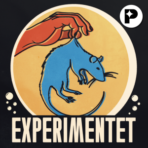User Podcast Logo