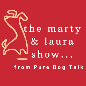 User Podcast Logo