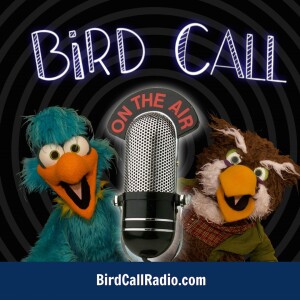 User Podcast Logo