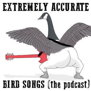User Podcast Logo